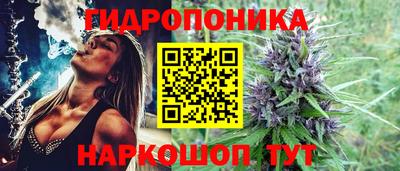 a pvp Конаково
