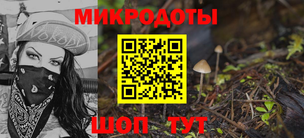Галлюциногенные грибы Psilocybine cubensis  Галлюциногенные грибы GOLDEN TEACHER  Жуковский  Вход с VPN 